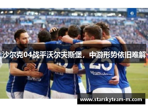 沙尔克04战平沃尔夫斯堡，中游形势依旧难解