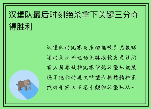 汉堡队最后时刻绝杀拿下关键三分夺得胜利