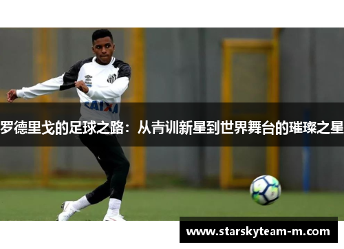 罗德里戈的足球之路：从青训新星到世界舞台的璀璨之星